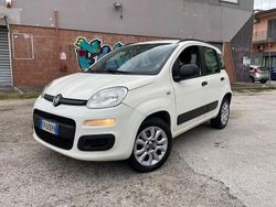 Bianco Usata 2013 Fiat Panda Pop Tre volumi | 2899 € (Buon prezzo)