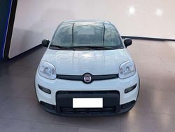 Bianco Usata 2024 Fiat Panda Due volumi | 11.500 € (Buon prezzo)