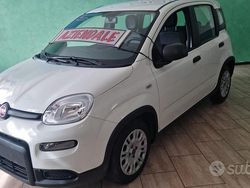 Bianco Usata 2023 Fiat Panda Cross Cross Due volumi | 13.900 € (Buon prezzo)