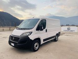 Bianco Usata 2021 Fiat Ducato Furgone | 16.499 € (Ottimo prezzo)