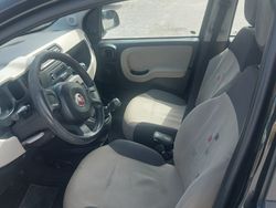 Nero Usata 2015 Fiat Punto Due volumi | 6500 € (Cara)