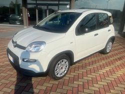 Antracite pastello Usata 2024 Fiat Panda S Due volumi | 13.000 € (Buon prezzo)