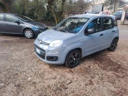 Beige Usata 2021 Fiat Panda Easy Tre volumi | 8900 € (Buon prezzo)