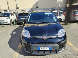 Nero Usata 2023 Fiat Panda Due volumi | 14.000 € (Molto cara)