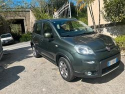 Verde Usata 2014 Fiat Panda 4x4 Due volumi | 9000 € (Buon prezzo)