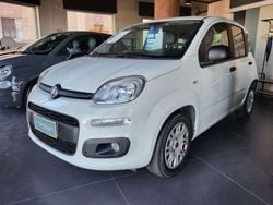 Bianco Usata 2016 Fiat Panda Lounge Due volumi | 8490 € (Cara)