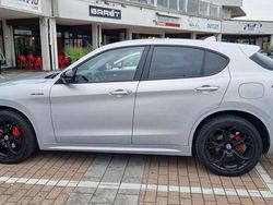 Argento Usata 2020 Alfa Romeo Stelvio SUV | 24.900 € (Molto cara)