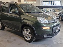 Verde Usata 2013 Fiat Panda Trekking Due volumi | 5500 € (Buon prezzo)