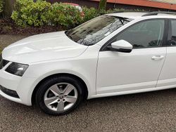 Bianco Usata 2018 Skoda Octavia Executive Station wagon | 13.900 € (Molto cara)