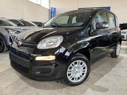 Nero Nuova 2025 Fiat Panda Icon Due volumi | 11.990 €