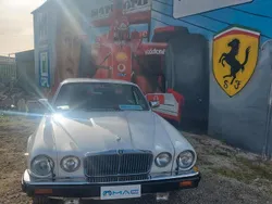 Usata 1982 Jaguar XJ6 Tre volumi | 11.999 €