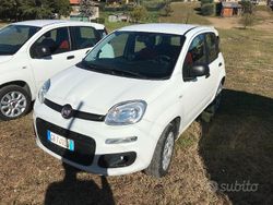 Bianco Usata 2020 Fiat Panda Lounge Due volumi | 7990 € (Ottimo prezzo)