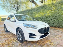 Bianco Usata 2022 Ford Kuga ST-Line SUV | 17.900 € (Super prezzo)