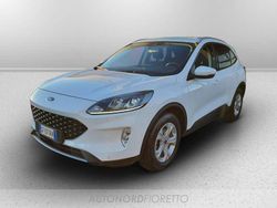 Bianco Usata 2021 Ford Kuga ST-Line SUV | 19.700 € (Ottimo prezzo)