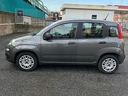 Grigio Usata 2020 Fiat Panda Due volumi | 8500 € (Buon prezzo)