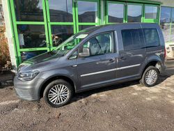 Grigio Usata 2019 VW Caddy Monovolume | 12.800 € (Super prezzo)