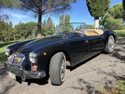 Usata 1960 MG 1600 Cabrio | 30.000 €