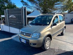 Marrone Usata 2007 Fiat Panda 4x4 Due volumi | 5500 € (Buon prezzo)