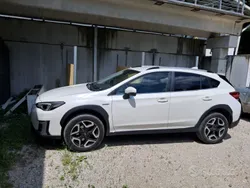 Usata 2020 Subaru XV SUV | 15.000 € (Super prezzo)