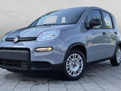 Other Usata 2020 Fiat Panda Launch Edition Due volumi | 6999 € (Super prezzo)