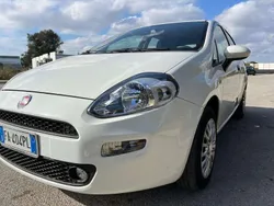 Bianco Usata 2015 Fiat Punto Lounge Due volumi | 4100 € (Buon prezzo)