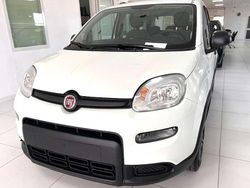 Bianco Usata 2022 Fiat Panda City Life Due volumi | 11.300 € (Buon prezzo)