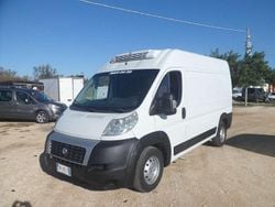 Bianco Usata 2009 Fiat Ducato Furgone | 7000 € (Buon prezzo)