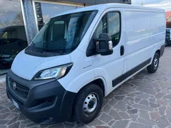 Bianco Usata 2020 Fiat Ducato Furgone | 12.400 € (Ottimo prezzo)