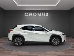 Other Usata 2020 Lexus UX Luxury Line SUV | 23.900 € (Molto cara)