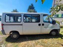 Bianco Usata 2000 Fiat Ducato Furgone | 3000 €
