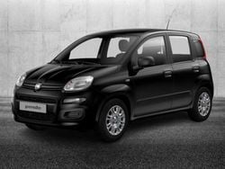 Nero Usata 2023 Fiat Panda S Due volumi | 13.950 € (Molto cara)