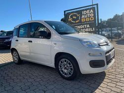 Bianco Usata 2021 Fiat Panda Due volumi | 8600 € (Ottimo prezzo)