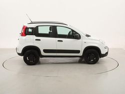 Usata 2020 Fiat Panda 4x4 S Due volumi | 13.990 € (Buon prezzo)