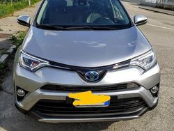 Grigio Usata 2017 Toyota RAV4 Hybrid Lounge SUV | 14.000 € (Cara)