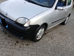 Grigio Usata 2004 Fiat 600 | 3000 € (Molto cara)
