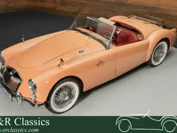 Beige Usata 1960 MG 1600 Cabrio | 59.950 €