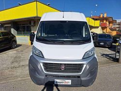 Bianco pastello Usata 2020 Fiat Ducato Furgone | 20.500 € (Molto cara)