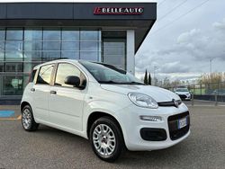 Bianco Usata 2019 Fiat Panda Easy Due volumi | 9500 € (Buon prezzo)
