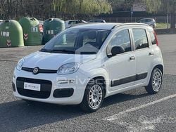 Bianco Usata 2016 Fiat Panda Easy Due volumi | 6600 € (Ottimo prezzo)