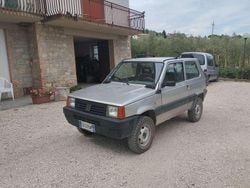 Grigio Usata 2002 Fiat Panda 4x4 Trekking Due volumi | 8500 € (Molto cara)