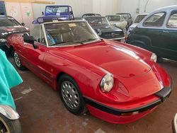 Rosso Usata 1988 Alfa Romeo Spider Quadrifoglio Verde Cabrio | 22.550 €