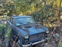 Usata 1960 Fiat 1100 Due volumi | 1800 €