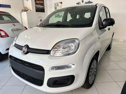 Bianco Nuova 2025 Fiat Panda Due volumi | 14.990 €