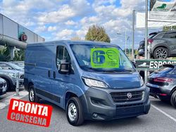 Blu Usata 2021 Fiat Ducato Furgone | 14.950 € (Ottimo prezzo)
