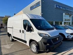 Bianco Usata 2020 Fiat Ducato Furgone | 12.900 € (Ottimo prezzo)