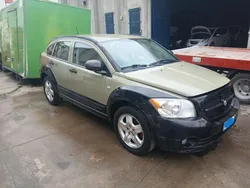 Grigio scuro Usata 2008 Dodge Caliber SXT SUV | 1900 € (Buon prezzo)