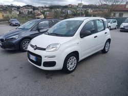 Bianco Usata 2019 Fiat Panda Due volumi | 9499 € (Buon prezzo)