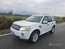 Bianco Usata 2013 Land Rover Freelander 2 SUV | 7900 € (Buon prezzo)