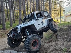 Bianco Usata 2005 Jeep Wrangler SUV | 27.000 € (Molto cara)