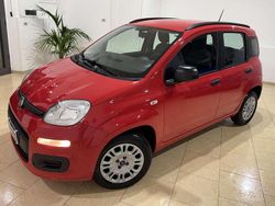 Rosso Usata 2020 Fiat Panda Easy Due volumi | 8399 € (Buon prezzo)